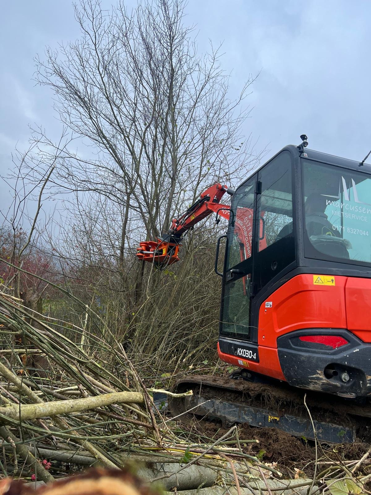 Baumfällung und Grundstücksrodung